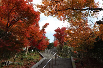 紅葉が綺麗な山口県長門湯本の紅葉階段