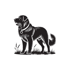 Anatolian Shepherd Dog minimalist design - Anatolian Shepherd Dog Vector Silhouette.