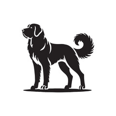Anatolian Shepherd Dog minimalist design - Anatolian Shepherd Dog Vector Silhouette.