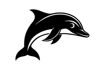 dolphin isolated on white