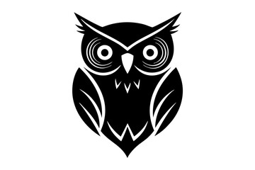 owl on white background