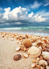  Beach with seashells beach wallpaper summer wallpaper beach background tropical nature