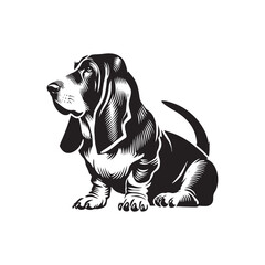Basset Hound Dog Minimalist Vector - Basset Hound Silhouette - Basset Hound Illustration.