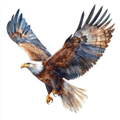 Obraz premium Majestic Bald Eagle in Flight Watercolor Painting