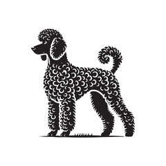 Bedlington Terrier Silhouette - Bedlington Terrier Illustration - Bedlington Terrier Vector Design.