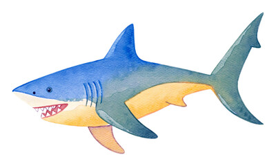 サメの水彩イラスト