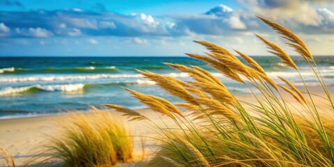 Beach Grass Blowing in the Wind, gentle ocean current, outdoor scene