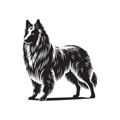 Minimalist Belgian Sheepdog - Silhouette of Belgian Sheepdog - Vector of Belgian Sheepdog.