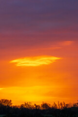 Fototapeta premium Spectacular winter sunrise erupts in brilliant orange and purple hues over rural Essex landscape. Tree silhouettes frame the dawn horizon in the stunning British countryside scene