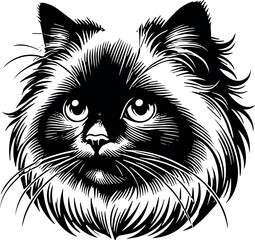 Birman Cat vector black silhouette cricut design for T-shirt