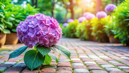 Un fleur de hortensia se dresse dans une tuile de jardin, garden decor, outdoor flowers