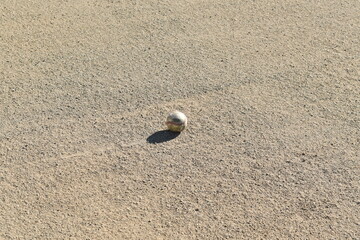 グラウンドの野球ボール