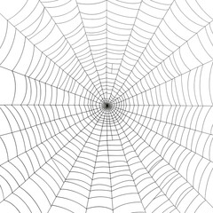 Obraz premium Intricate spider web in soft morning light