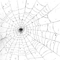 Obraz premium Intricate spider web against dark background