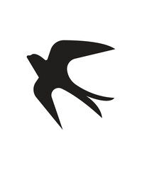 flying bird silhouette vector on white background