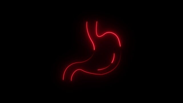 Human Stomach symbol animation with glowing neon line 