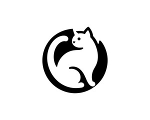 image of a cat