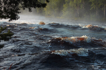 Stormy huge waves raise foam on the rapids of the river. The water in the forest river is clear,...