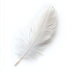 Obraz premium Elegant white feather resting on a clean surface showcasing delicate details and soft textures