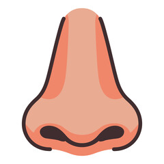 human nose organ biology anatomy flat color vector illustration template design