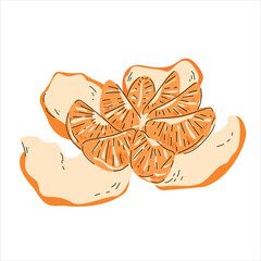 Hand-Drawn Illustration of a Peeled Tangerine with Segments