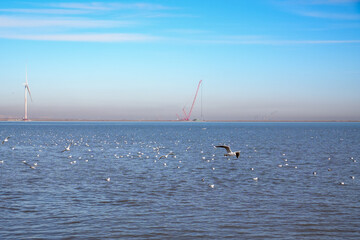 Naklejka premium kite surfing on the atlantic ocean