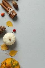 Beautiful autumn composition with pumpkins, top view