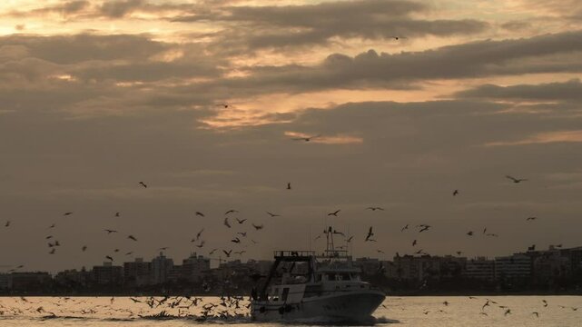 Fisher ship going to port at sunset. Caleta de Velez, Spain