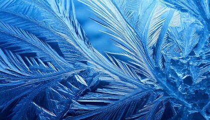 Close-Up of Crystalline Ice Patterns Forming Fractal-Like Structures in Subtle Blue and White Tones