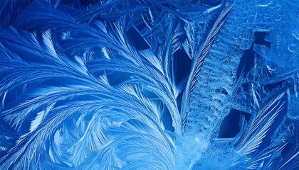 Obraz premium Close-Up of Crystalline Ice Patterns Forming Fractal-Like Structures in Subtle Blue and White Tones