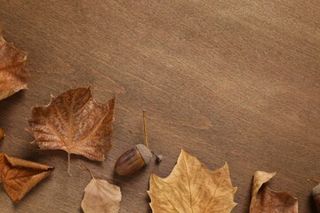 Various autumn leaves on wooden background