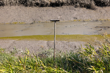 Drained tidal flats and traditional Korean totem poles