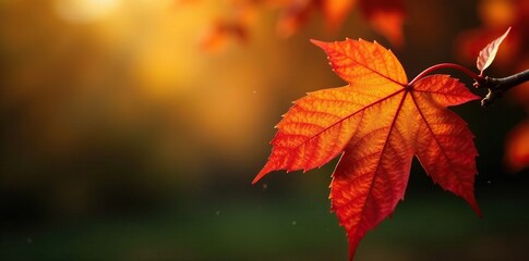A vibrant orange and red leaf perched on a branch, outdoor photography, autumn leaves