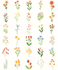 Colorful Flowers Collection In Flat Style