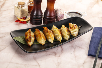 Fried Japanese stuffed dumplings - Gyoza