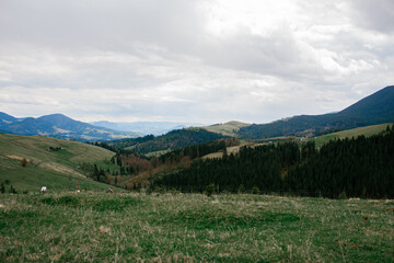 Fototapeta premium incredible view of the mountains, hiking, travel.