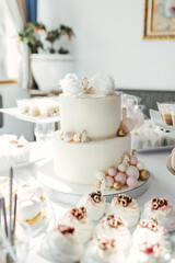 Delicious sweet buffet with with cake, cupcakes, macaroons and biscuits. Luxury Candy Bar for celebration, wedding, birthday
