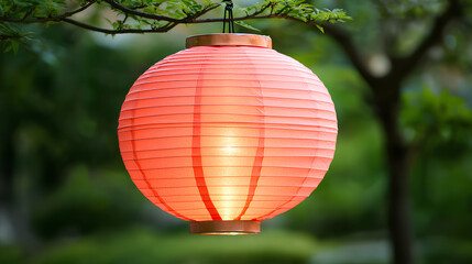 Obraz premium Red lantern hanging from a tree