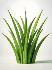 Obraz premium grass isolated on white background blank,vector cartoon 