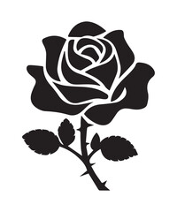 Modern Black Rose Graphic with White Backdrop