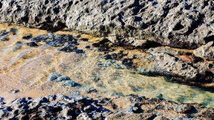 beautiful sea coast. nature background