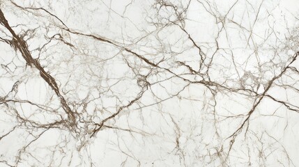 Obraz premium A close-up of a marble surface featuring intricate veining in beige and brown tones.