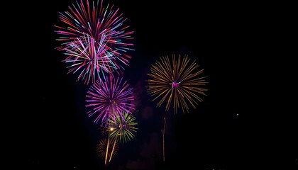 Vibrant Fireworks Exploding in the Night Sky