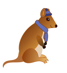 A cute quokka, Setonix brachyurus, seen from the side, wearing a blue winter hat and scarf. 
