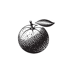 Naranjilla silhouette icon vector symbol design illustration.