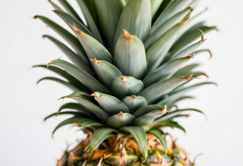 Fototapeta premium Pineapple shot close up showing details