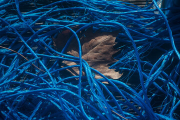 Una foglia marrone sepolta sotto una matassa di corde da pesca colorate di blu elettrico