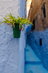 Chefchaouen Chaouen Morocco Blue City. Blue pearl. Rif mountains 