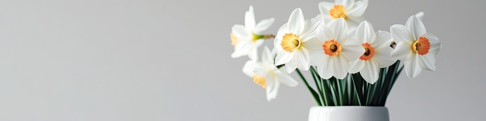 Fototapeta premium Close-up of the daffodils. Spring background, banner, wallpaper, poster