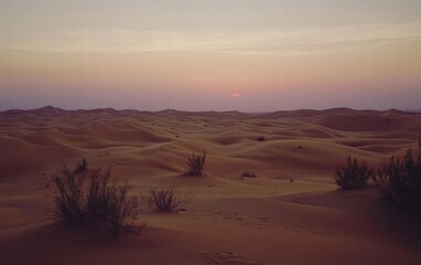 Fototapeta premium A professional photo of a desert landscape at twilight, showcasing golden sand dunes